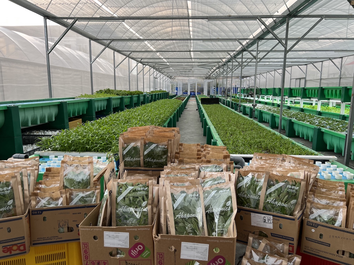 AHAS%20Greenhouse