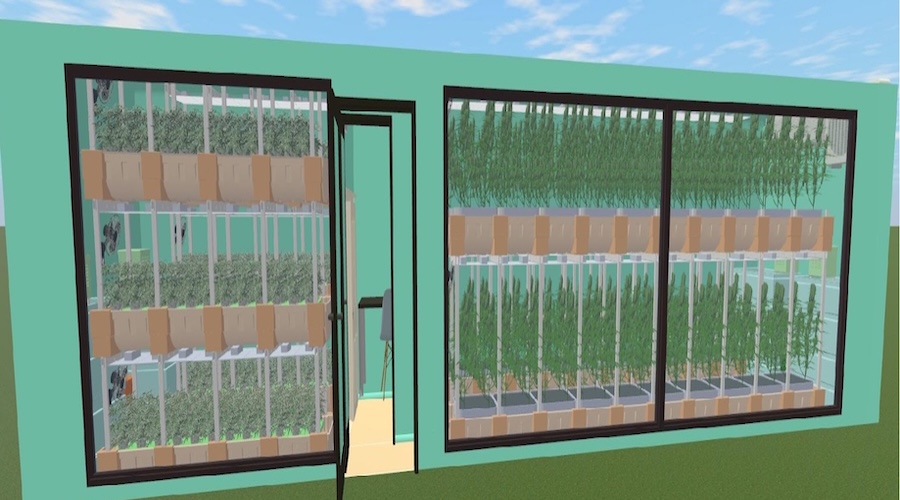 Container%20cannabis%2040ft