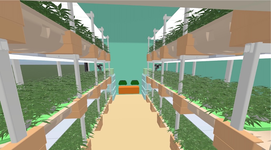 Container%20cannabis%20vegetative